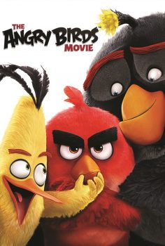 Angry Birds izle